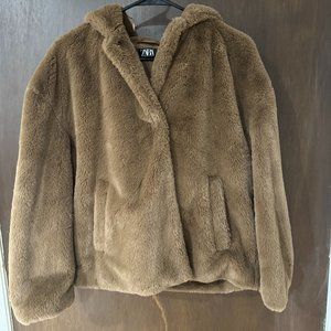 Teddy Jacket with Hoddie